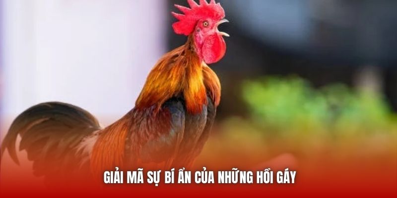 Giải mã sự bí ẩn của những hồi gáy